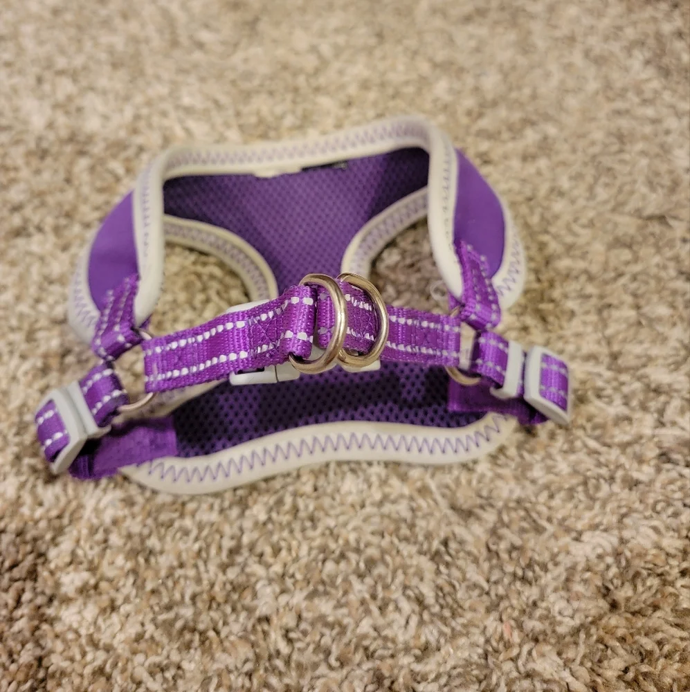 Purple and Gray Small Dog Harness